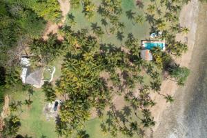 an aerial view of a group of trees and a pool at Beachfront Property in Palenque - Paradise! in Palenque