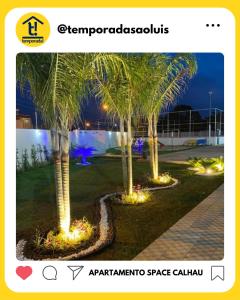 duas palmeiras num parque à noite em Apartamento Space Calhau em São Luís