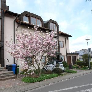 un albero di fronte a una casa con fiori rosa di Ferienwohnung Unter dem Schwalbennest a Wachenheim an der Weinstrasse