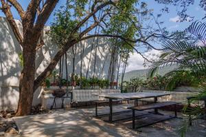 a patio with a table and chairs and a tree at Hermosa Casa en el Centro de Jalpan in Jalpan +4 photos