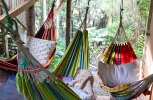 Κήπος έξω από το Tree House