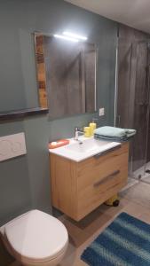 a bathroom with a sink and a toilet and a shower at studio des dents de lanfon in Écharvine +15 photos