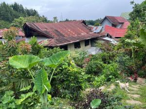 a house with a rusty roof in a garden at Mamasa Local House in Mamasa