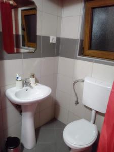 a bathroom with a sink and a toilet and a mirror at Apartments Popovic in Podgorica