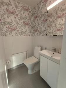a bathroom with a toilet and a sink at Koivukuja in Kokkola