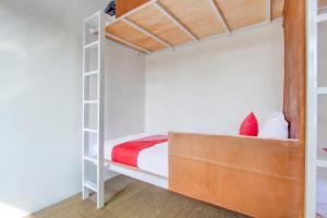 a bedroom with a bunk bed with a ladder at Hotel O Wonosobo Bunkbed in Wonosobo