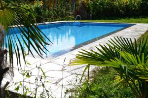 a swimming pool in a yard with afficient at Gleifhof in Appiano sulla Strada del Vino
