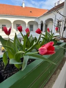 Vonkajšia záhrada v ubytovaní Forst-Ház Apartman