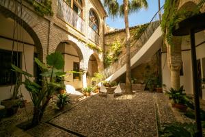 a courtyard of an old building with palm trees and plants at Hotel Boutique Patio del Posadero in Córdoba