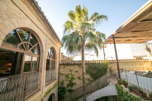 a palm tree in the courtyard of a building at Hotel Boutique Patio del Posadero in Córdoba