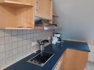 a kitchen with a sink and a counter top at Schöne Wohnung in S-Bahn-Nähe in Vierkirchen