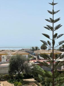un grande pino di fronte a una città di Apto dos dormitorios en Ayacosta a Isla Canela Altre 2 foto