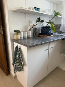 a kitchen counter with potted plants on it at Wittus Retreat in White River +1 photo