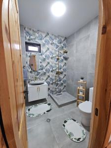 a bathroom with a toilet and a sink at Twins Bazaleti & თვინს ბაზალეთი in Chanadirtkari +29 photos