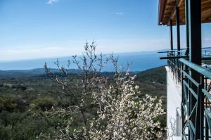 Príroda v okolí apartmánu + 24 fotografií