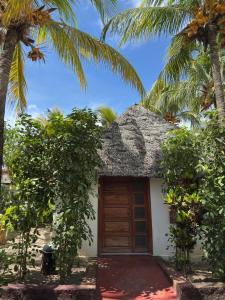 Zahrada ubytování Tikipalmbeachhotel