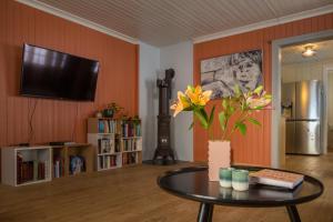 Experience Jotunheimen from Vevstogo - sauna with a view and eco living in an old school building的电视和/或娱乐中心