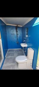 een blauwe badkamer met een toilet en een wastafel bij Şampiyon butik otel in Ayazment