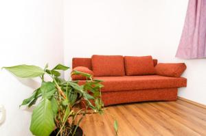 Posezení v ubytování Apartments Žuronja