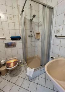 Koupelna v ubytování Pension zum Ritter + 37 fotografií