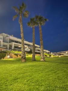 two palm trees in a field in front of a building at Camporrosso43 luxury penthouse, jacuzzi, billiards in Finestrat