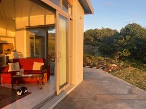 a cat sitting on a porch next to a sliding glass door at Sarah's Place -Stilbaai in Stilbaai