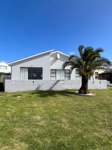 a palm tree in front of a house at Tassies in Gansbaai