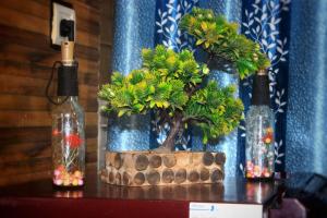 a plant in a vase on a table with two bottles at lamba's stay in Haridwār