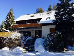 Ferienwohnung-Momo-Villa-Strawalde-Altenau-Oberharz v zimě