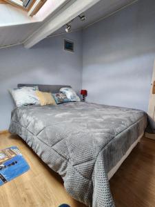 a bedroom with a large bed in a room at MAISON PROCHE PLAGE SUR BASSIN D ARCACHON in Andernos-les-Bains