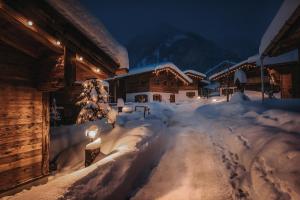 Alpzitt-Chalets im Winter