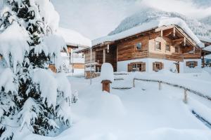 Alpzitt-Chalets im Winter