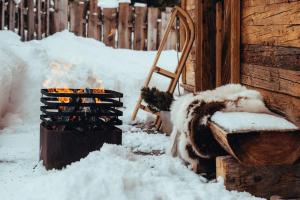 Alpzitt-Chalets im Winter