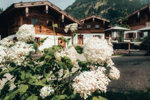 Ein allgemeiner Bergblick oder ein Berglick von des Chalets aus
