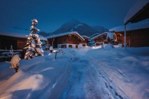 Alpzitt-Chalets im Winter