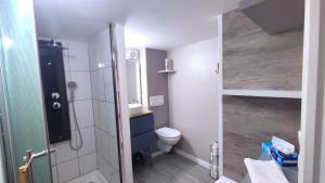 a small bathroom with a toilet and a shower at O naturel in Buzancy +27 photos