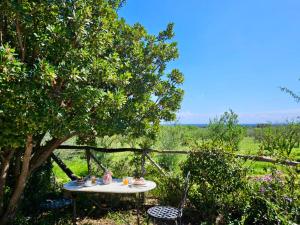 Green Hotel "I Mandorli di Dommos"外面的花园