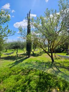 Green Hotel "I Mandorli di Dommos"外面的花园