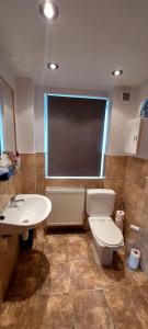 un bagno con un water e un lavandino di Centraal appartement met tuintje, vlak bij zee a De Panne