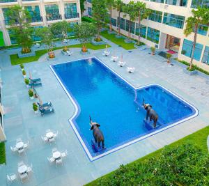 Bazén v ubytování DongHu Resort Hotel nebo v jeho okolí
