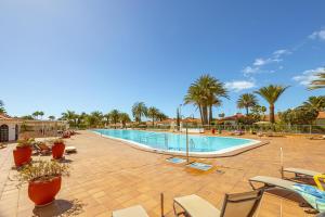 a pool with chairs and palm trees in a resort at LUXURY Sun Club 252 in San Bartolomé de Tirajana
