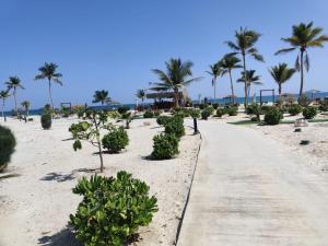 a path on the beach with palm trees and the ocean at Two bedroom Villa with Private Pool, Hawana Salalah in Wādī Khasbar