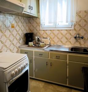 a kitchen with a stove and a sink at Siora Angie in Agios Gordios