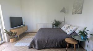 TV a/nebo společenská místnost v ubytování Tiny Tranquille