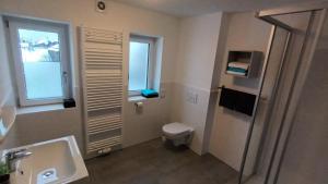 a bathroom with a toilet and a sink and a window at Haus Linn in Ehrwald +19 photos