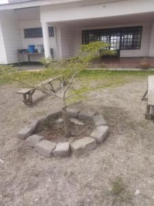 Κήπος έξω από το Soles de Africa Lodge