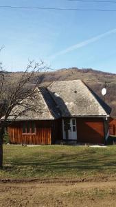a brown house with a white door in a field at Cabana Bunicilor in Răchiţele