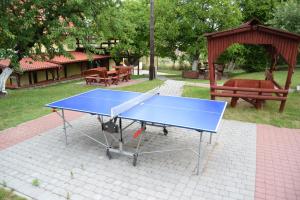 a blue ping pong table in a park with a gazebo at Chata Skrzata in Kruszyn