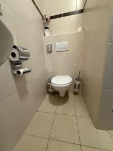 a small bathroom with a toilet in a stall at Penzión U Srnčíka in Devin