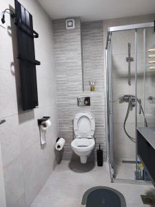 a bathroom with a toilet and a shower at "Moon M" Lux Studio - Free Parking in Vrnjačka Banja +6 photos